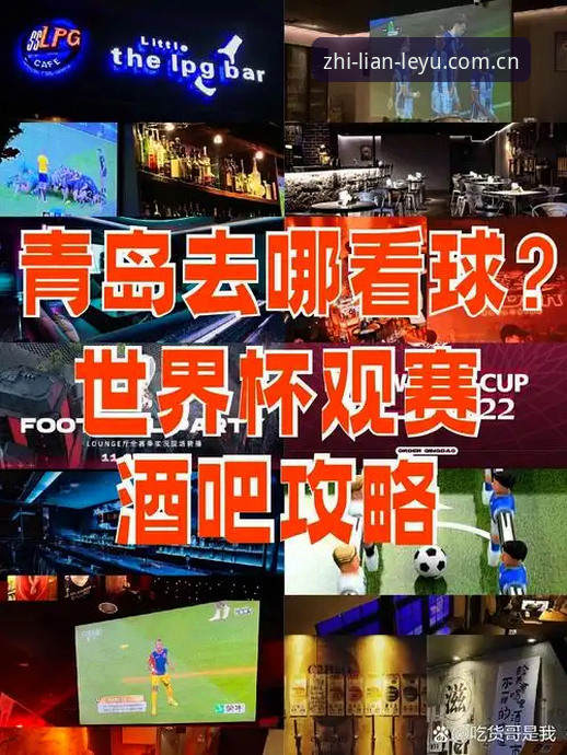 掌握世界杯扩军趋势的实用指南——乐鱼全站老用户分享观赛心得