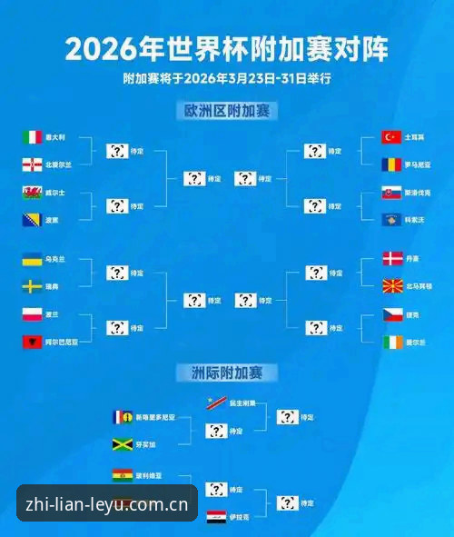 2026世界杯观赛签证危机完整指南：从约旦球迷困境看赛事变局